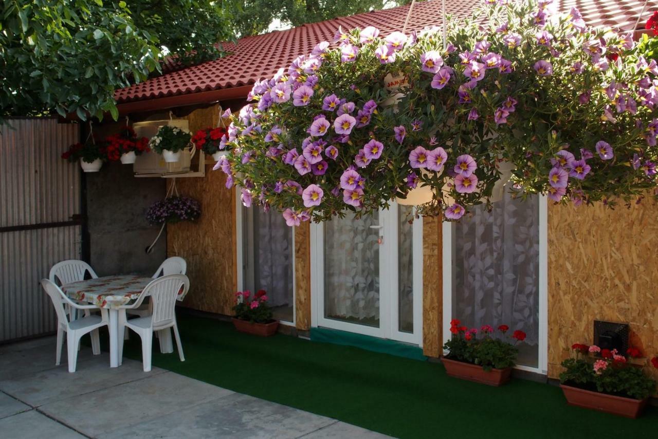 Amália Apartman Gyula Exterior foto